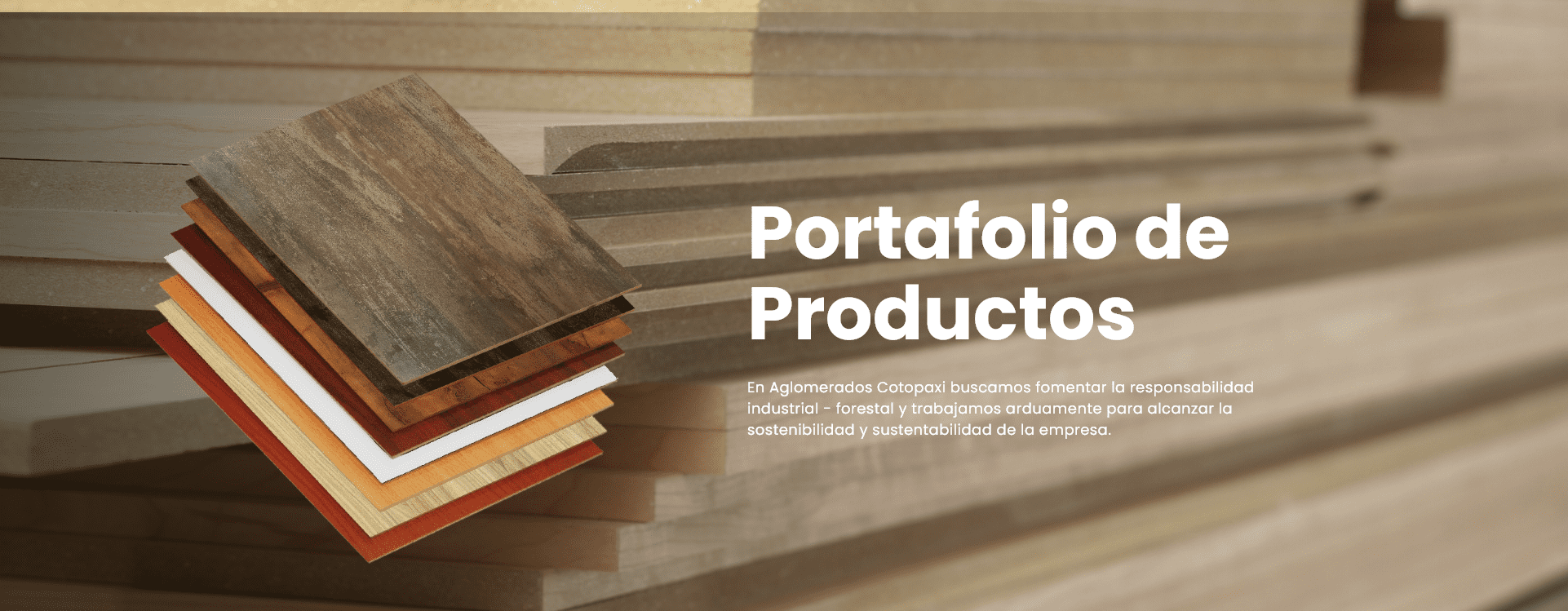 portafolio 