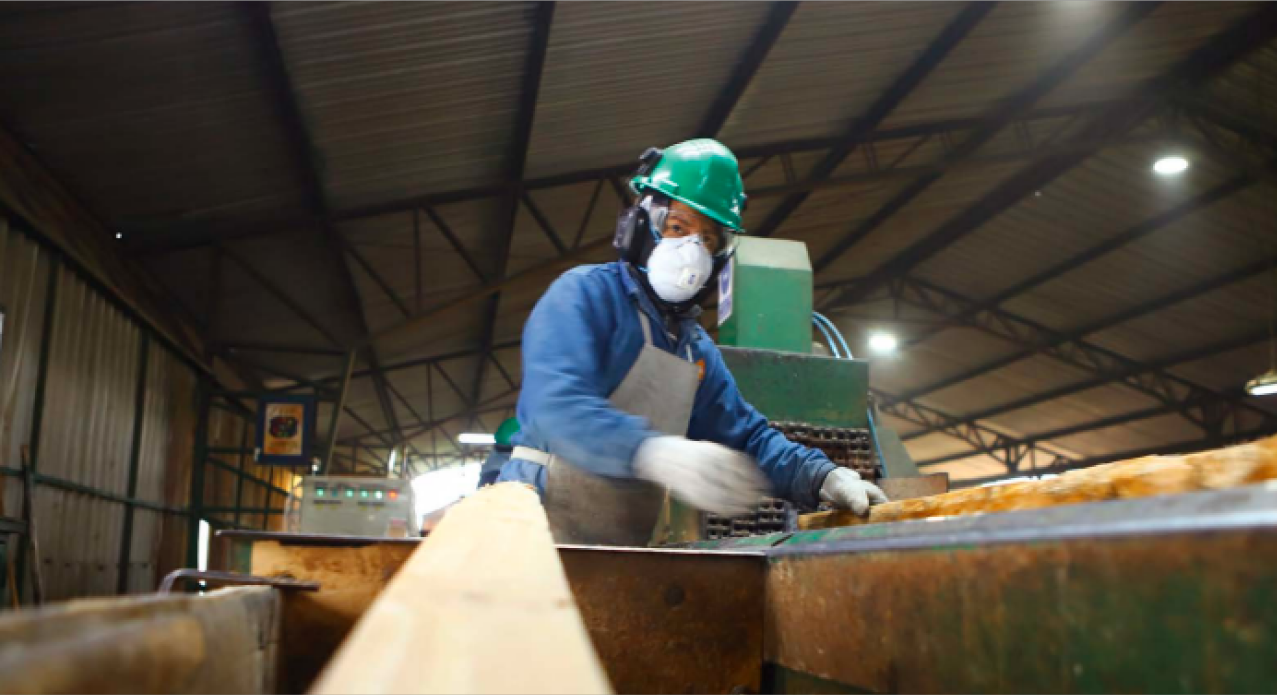 Procesos productivos