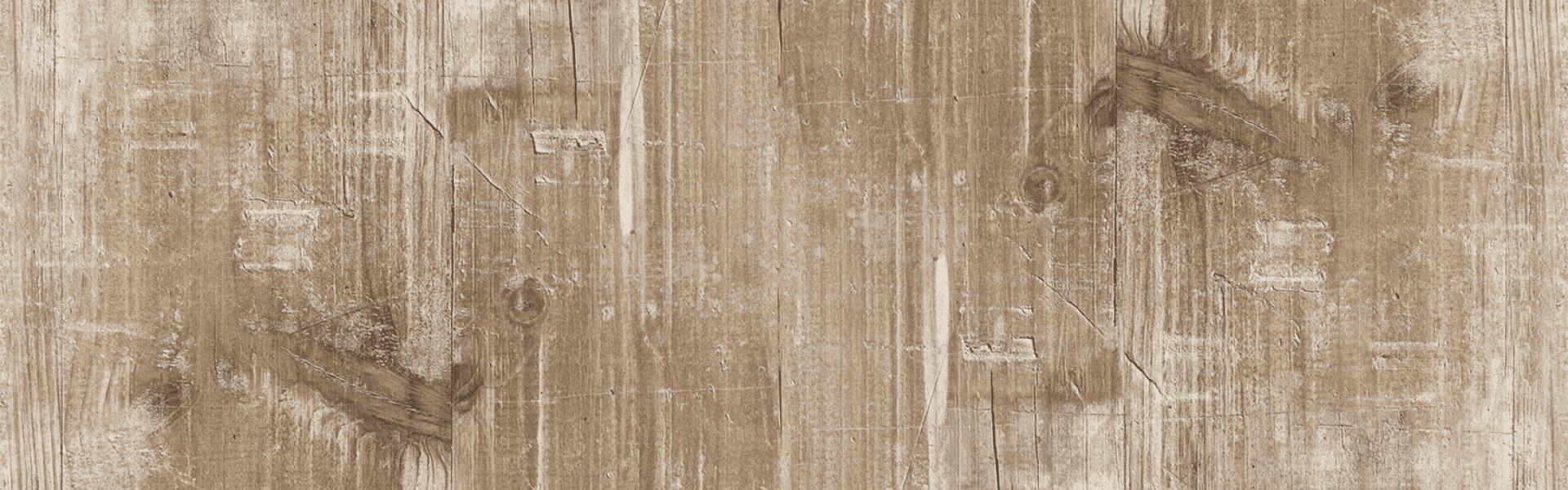 Alamo banner