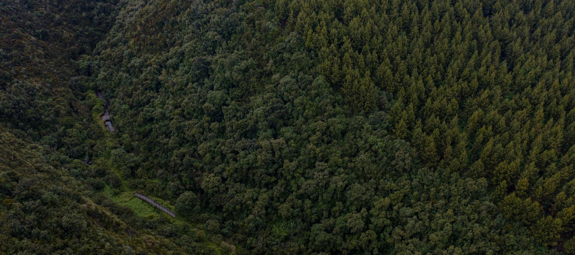 Banner Nuestra historia